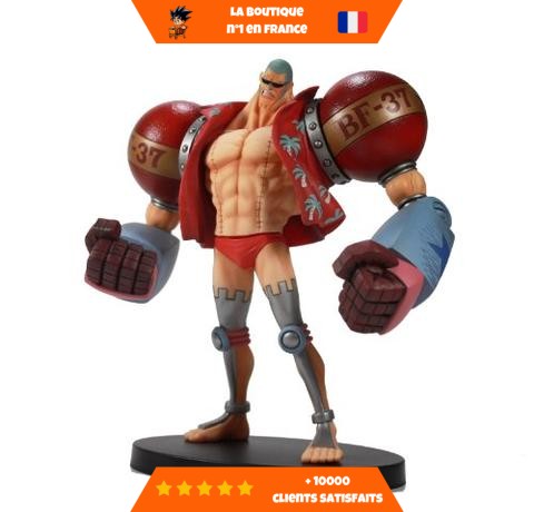 The-Grandline-Men-Franky-The-Grandline-Men-vol-13-Franky-1.jpg