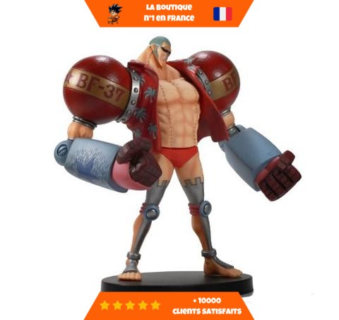The-Grandline-Men-Franky-The-Grandline-Men-vol-13-Franky.jpg