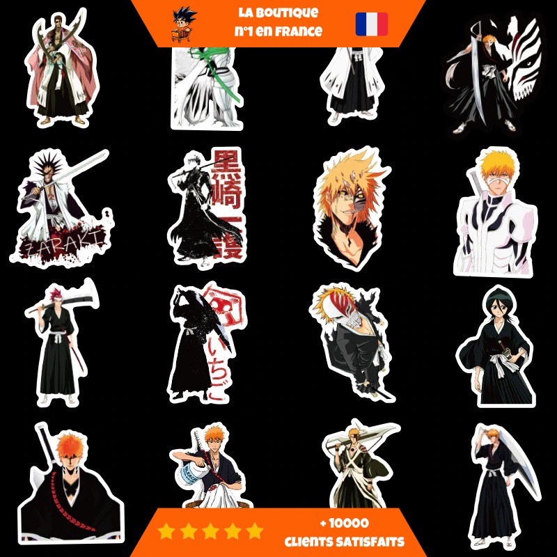 Autocollants-Bleach-Modeles.jpg