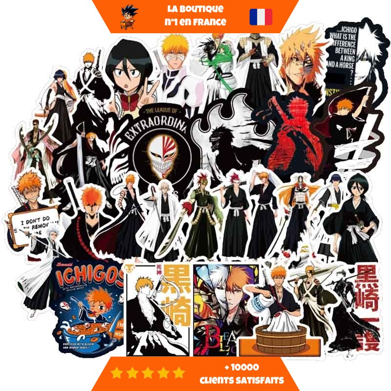 Autocollants-Bleach-Present.jpg