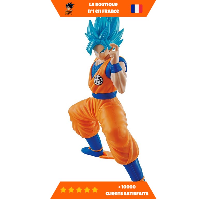 Entry-grade-son-goku-super-saiyan-god-2.jpg