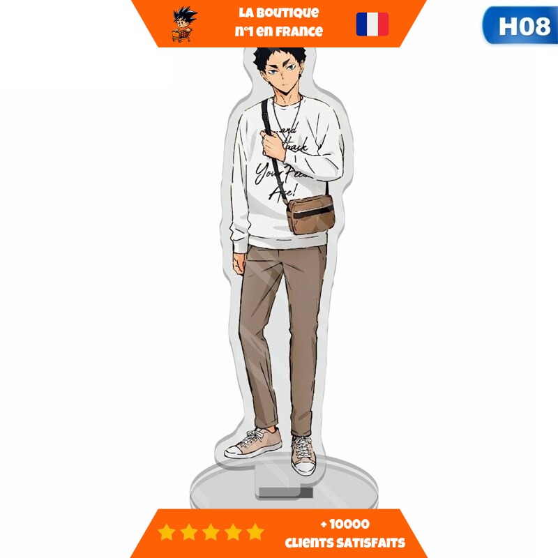 Figurine-Acrylique-Hajime-Iwaizumi.jpg