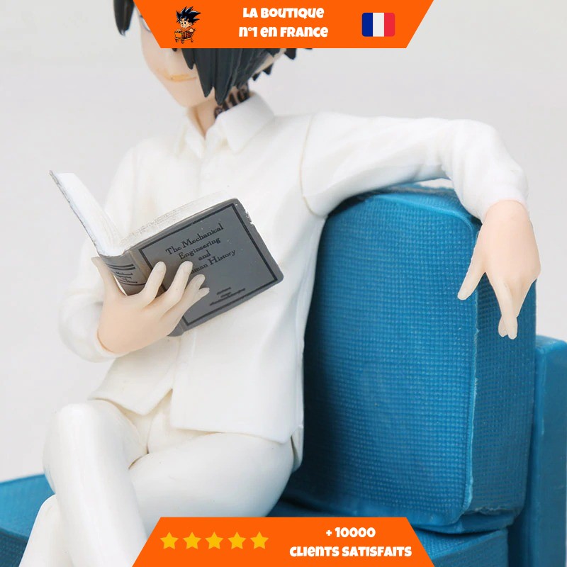 Livre-Ray.jpg