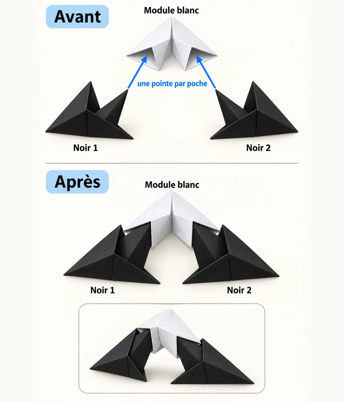 Un module blanc relie une pointe de chacun de deux modules noirs voisins, avec les faces visibles repérées.